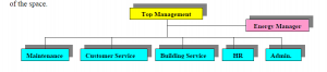 Managment structure
